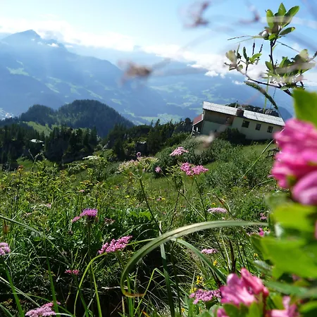 Almhof Lackner Ried im Zillertal