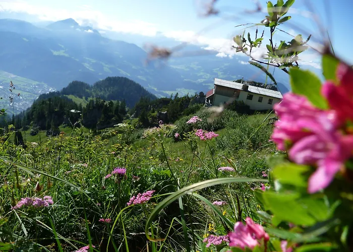 Almhof Lackner Ried im Zillertal