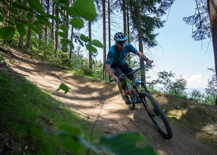 Almhof Lackner מלון ריד אים זילרטל